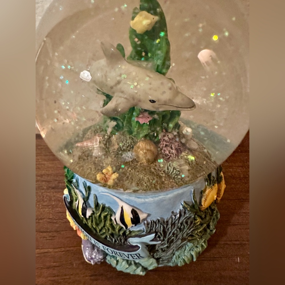 “Rare Find” 1990’s SeaWorld “Extinction Is Forever” Dolphin Musical Water Globe - Picture 6 of 6